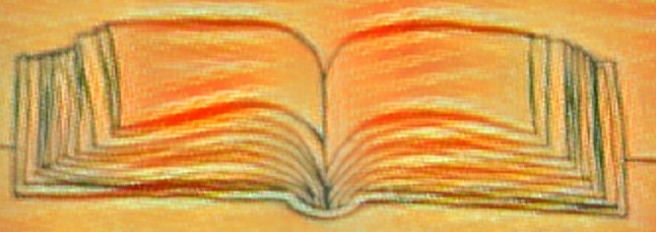livro laranja