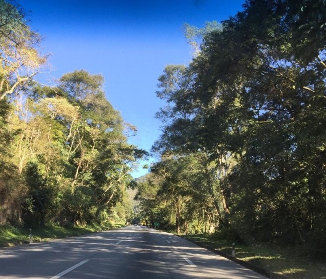 estrada Petrópolis Itaipava